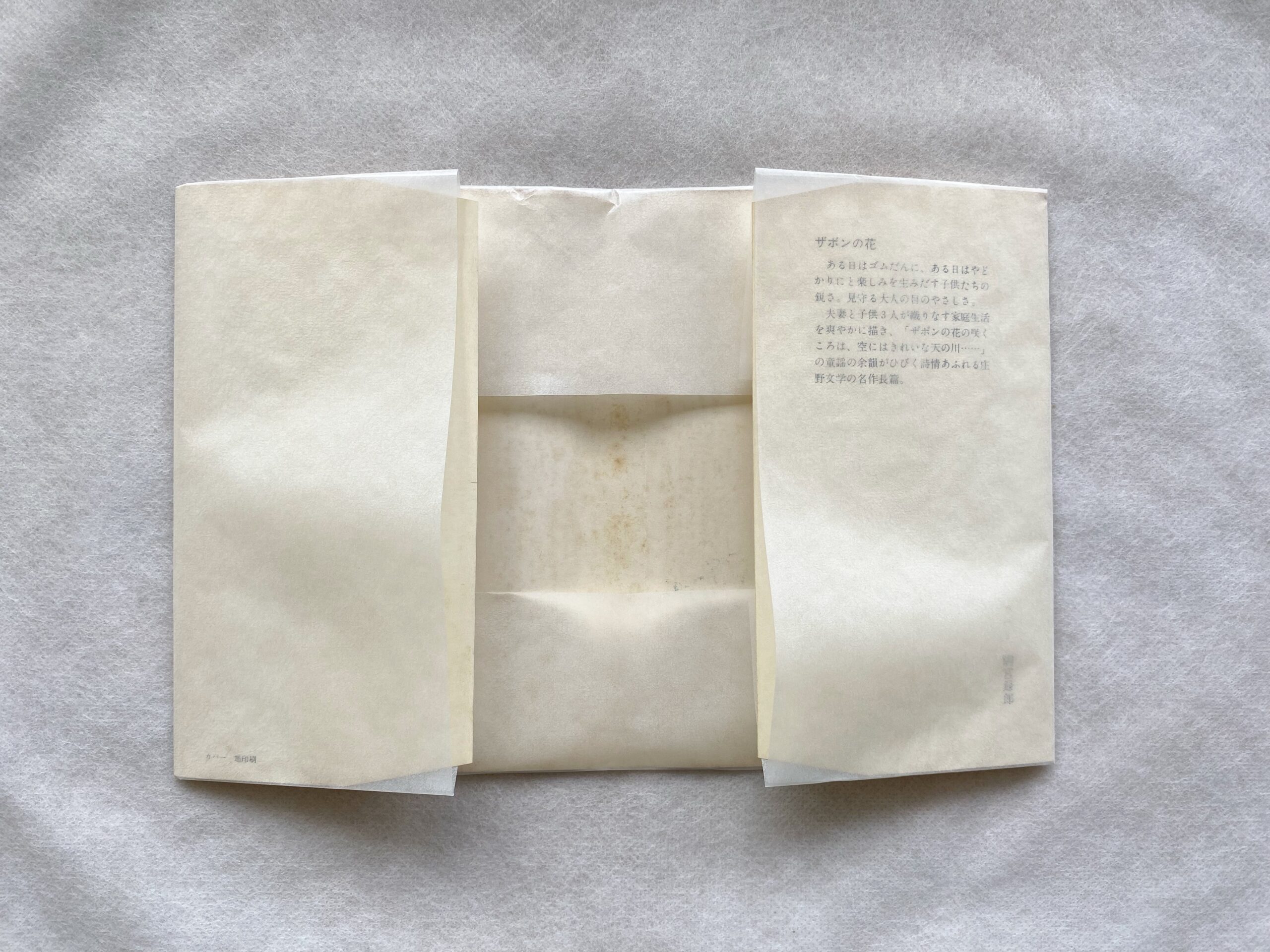 白籏史朗 日本南アルプス ハードカバー パラフィン紙付き 人気 